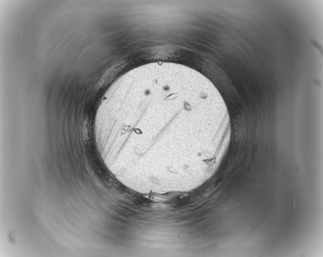 X0000101470216200808041112