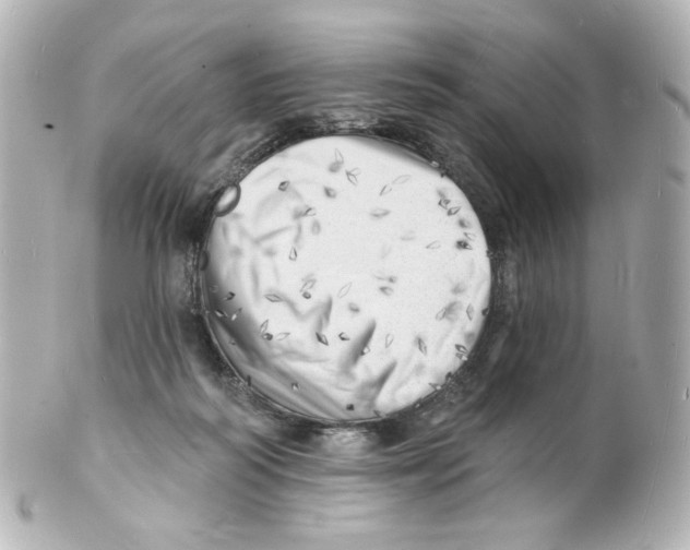 X0000101470218200808041112