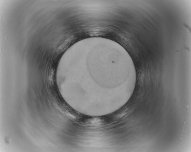 X0000101470219200808041112