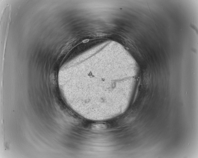 X0000101470220200808041112