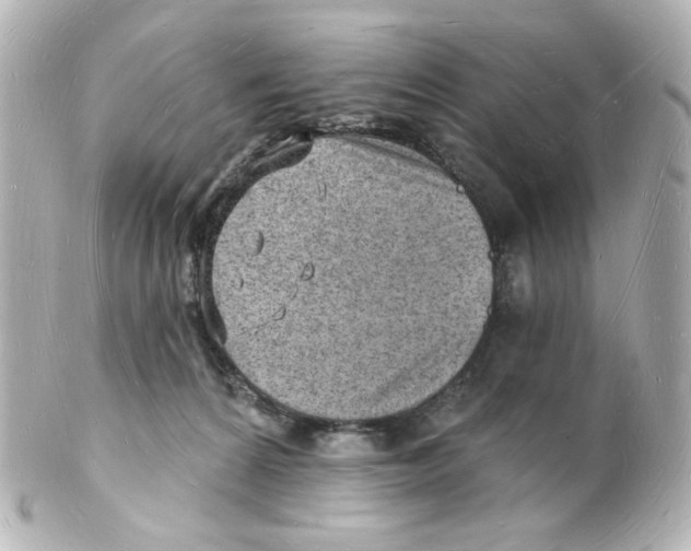 X0000101470224200808041112