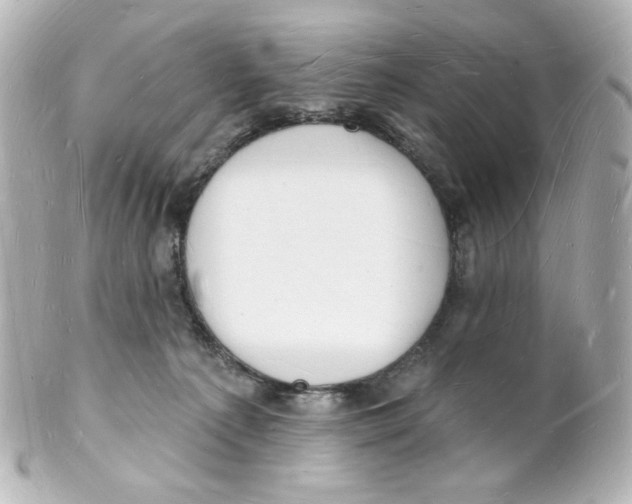 X0000101470225200808041112