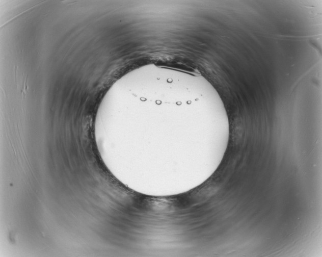 X0000101470229200808041112