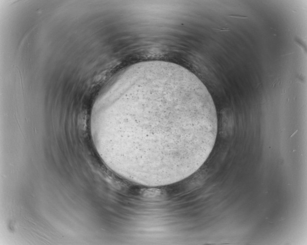 X0000101470230200808041112