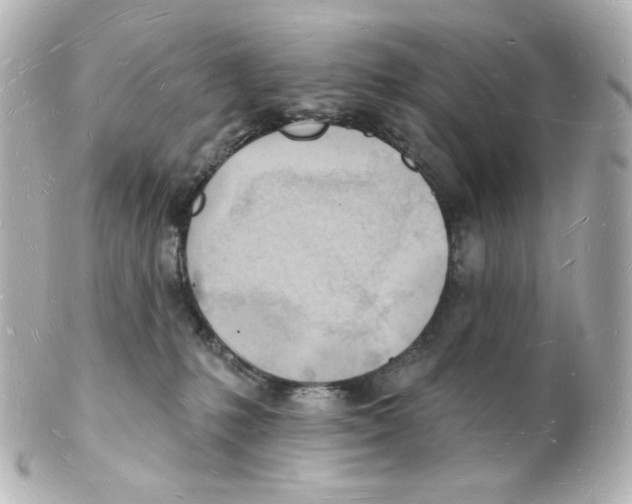 X0000101470231200808041112