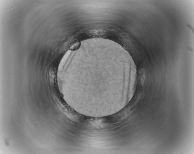 X0000101470235200808041112