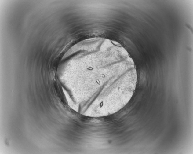 X0000101470236200808041112