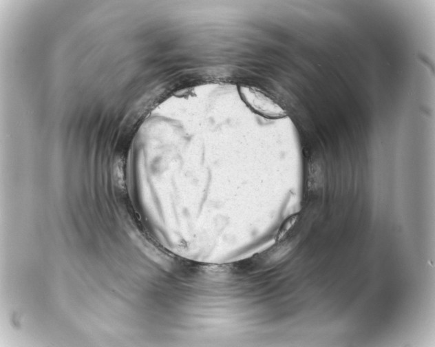 X0000101470238200808041112