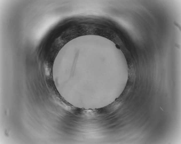 X0000101470239200808041112