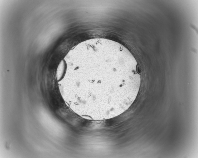 X0000101470240200808041112