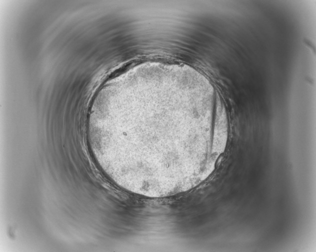 X0000101470241200808041111