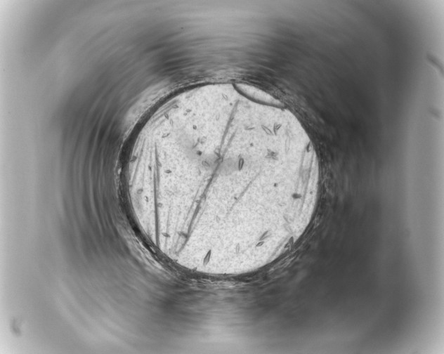 X0000101470242200808041111