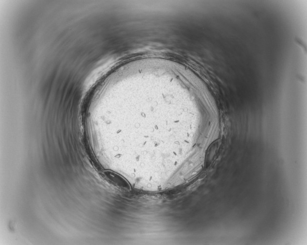 X0000101470245200808041111