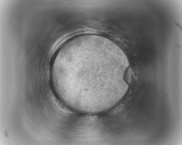 X0000101470247200808041111