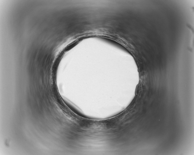 X0000101470248200808041111