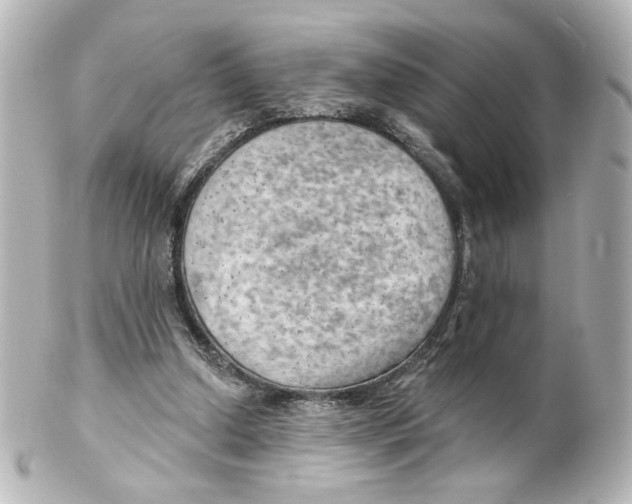 X0000101470250200808041111