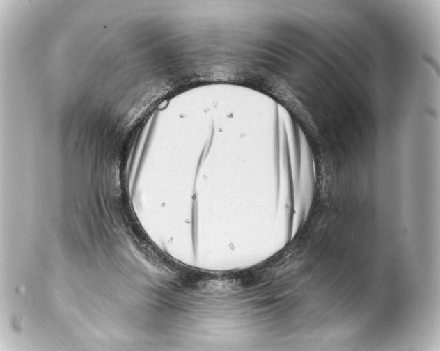 X0000101470251200808041111