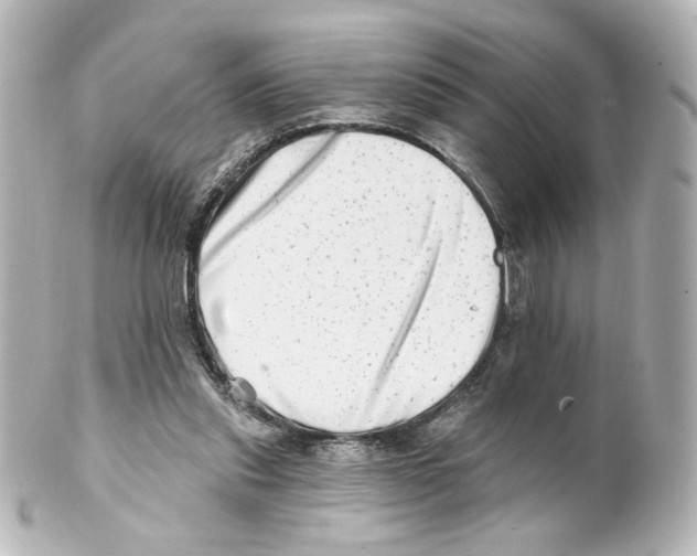 X0000101470253200808041111