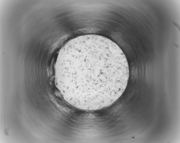 X0000101470254200808041111