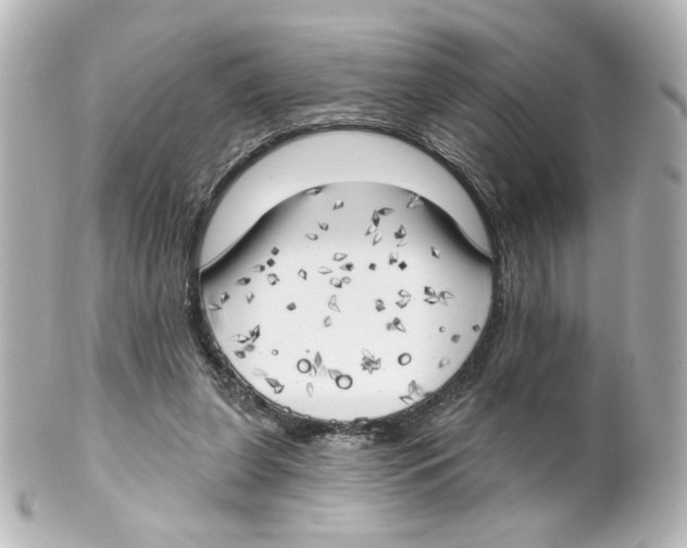 X0000101470255200808041111