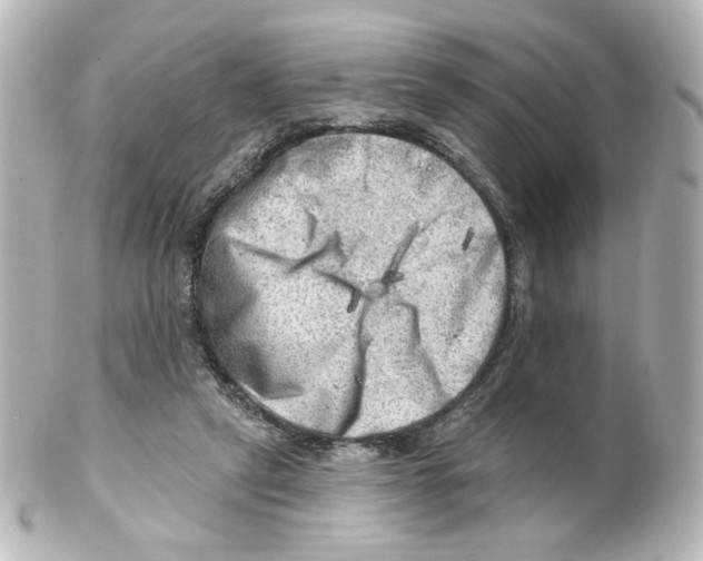 X0000101470257200808041111