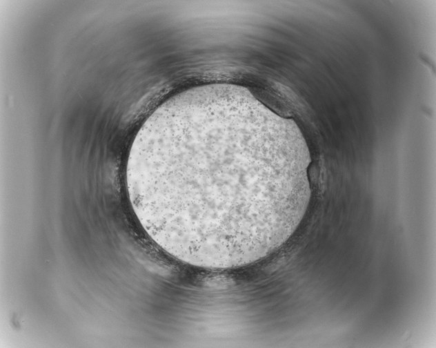 X0000101470258200808041111