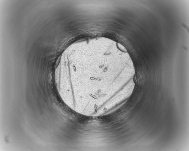 X0000101470259200808041112