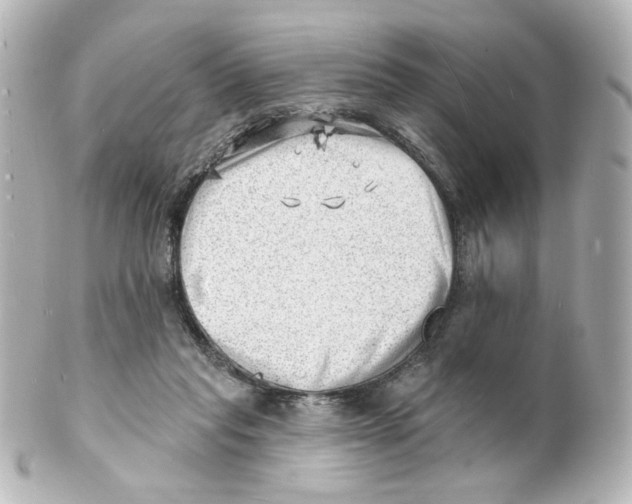 X0000101470261200808041112