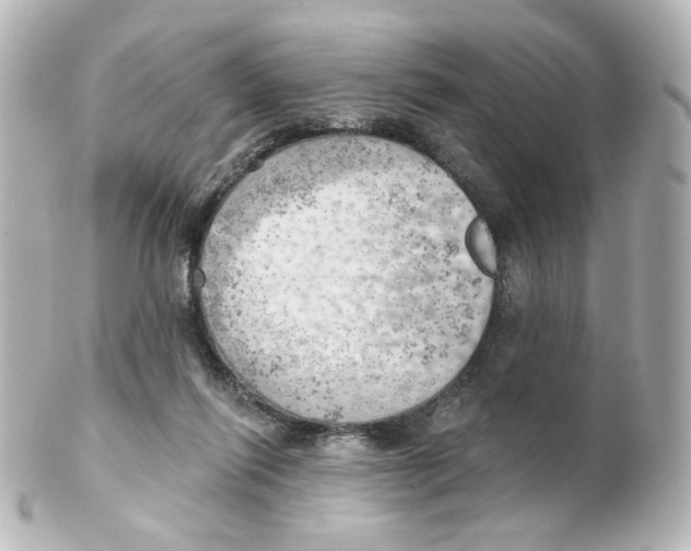 X0000101470262200808041112