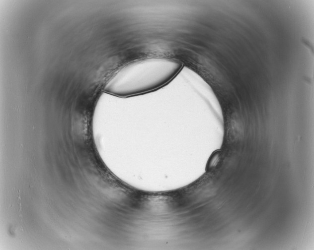 X0000101470268200808041112