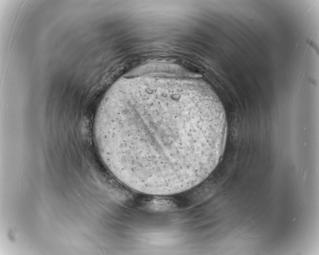 X0000101470270200808041112