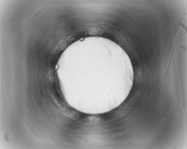 X0000101470272200808041112