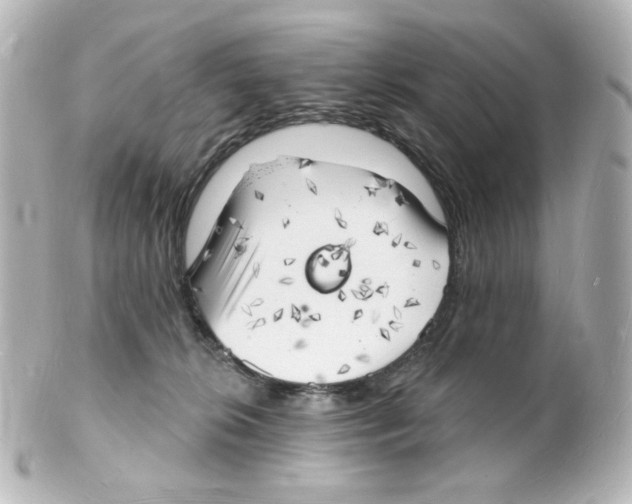 X0000101470276200808041112