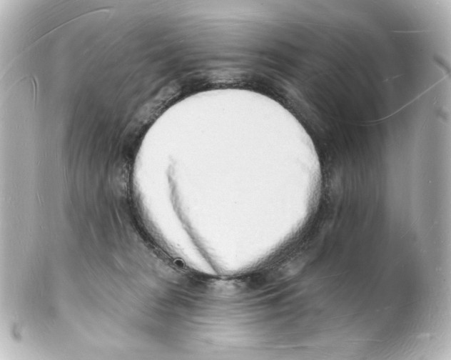 X0000101470277200808041112