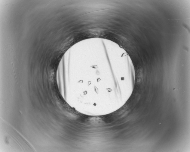 X0000101470279200808041112