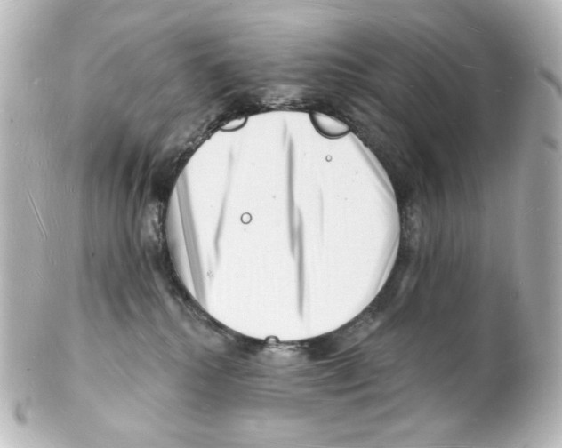 X0000101470280200808041112