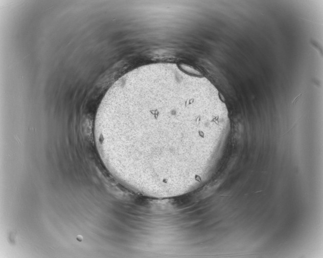 X0000101470281200808041112