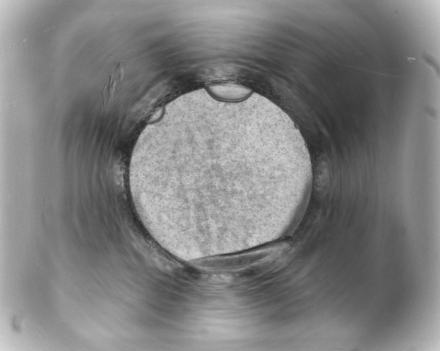 X0000101470282200808041112