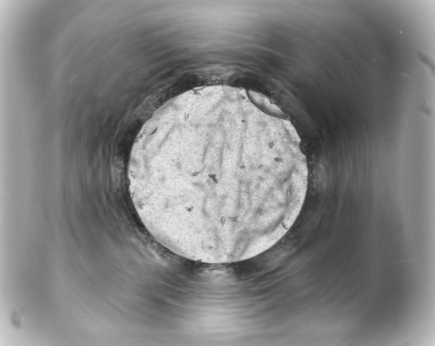 X0000101470283200808041112