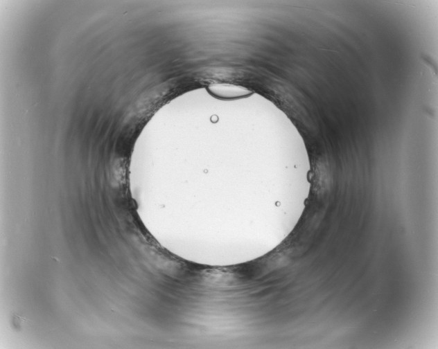 X0000101470284200808041112