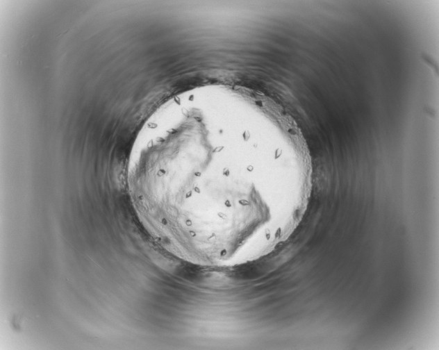 X0000101470285200808041112