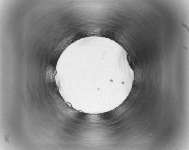 X0000101470287200808041112