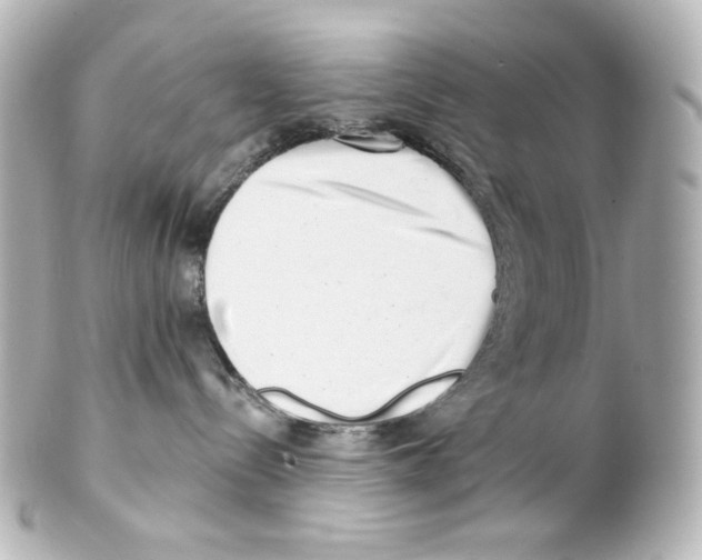 X0000101470288200808041112