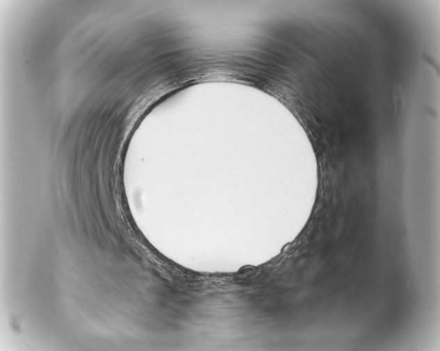 X0000101470289200808041111