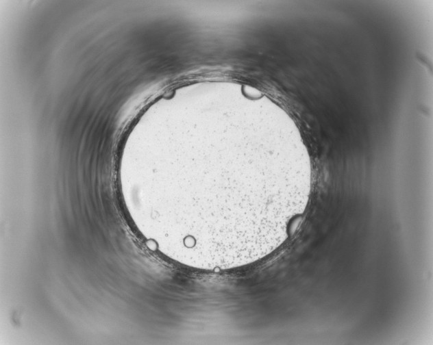 X0000101470293200808041111