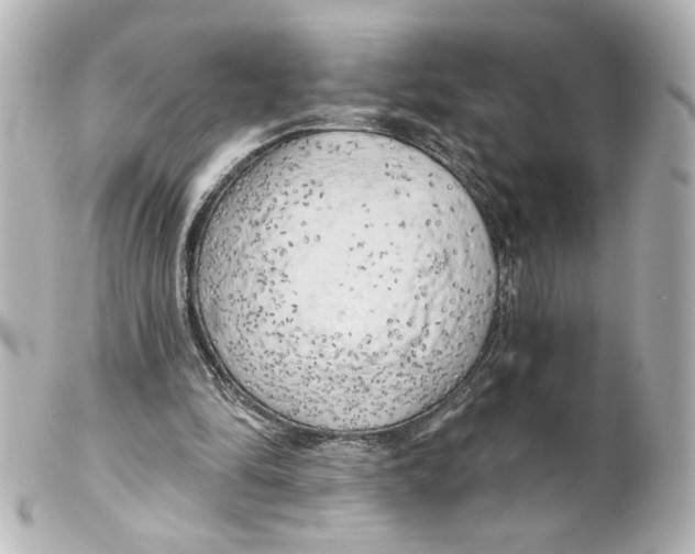 X0000101470294200808041111