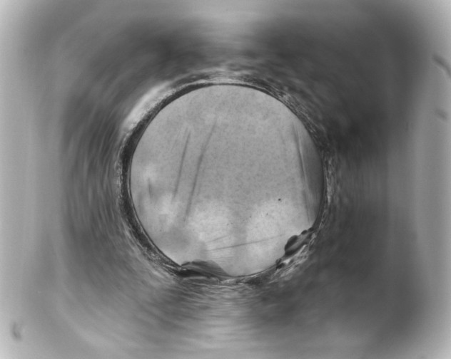 X0000101470295200808041111