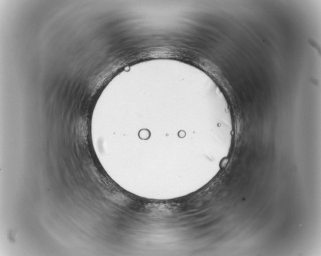 X0000101470297200808041111