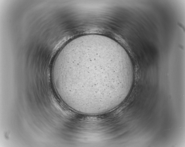 X0000101470298200808041111