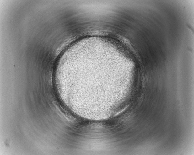 X0000101470299200808041111